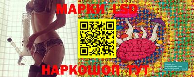 a pvp Краснодар