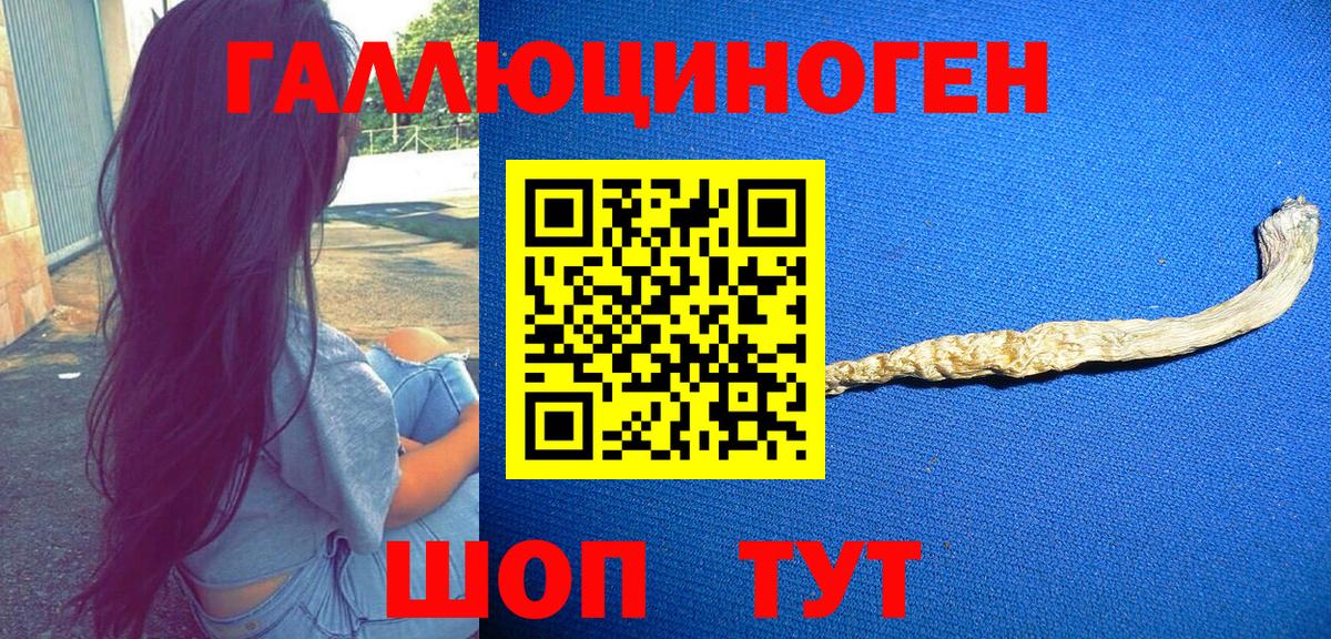 Псилоцибиновые грибы Psilocybe  Вход с VPN  Ипатово  Псилоцибиновые грибы ЛСД 
